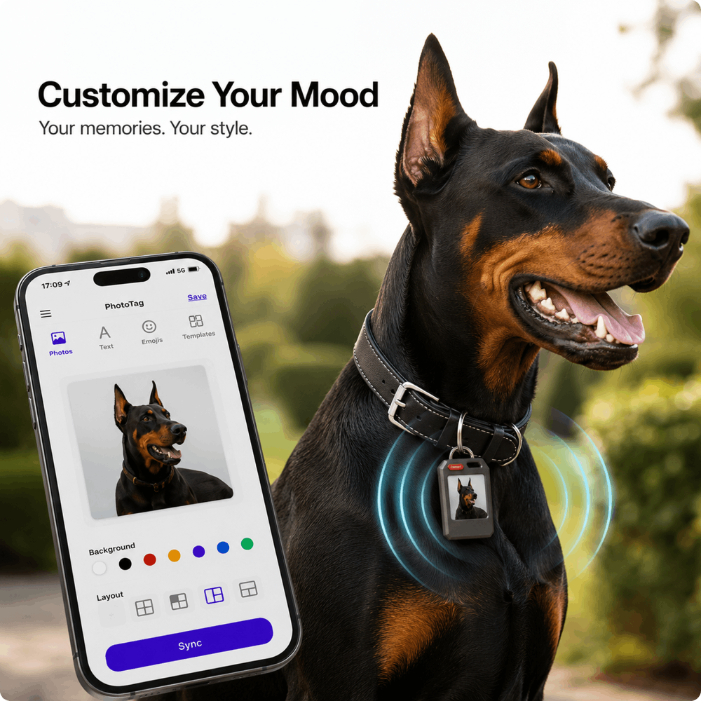 PhotoTag Smart Air Tracker Tags Finder for Android & iOS (Apple Find My & Google Find My Device), Bluetooth Locator for Luggage, Keys, Wallet. Personalized E-Ink Display, Tech Gift