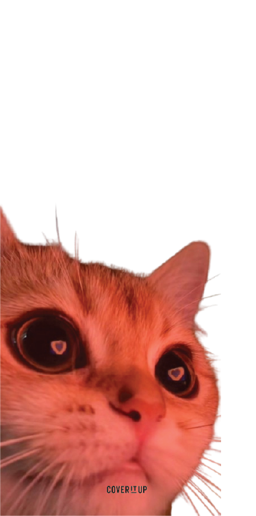 Heart-Eyes Kitty Mirror Phone Case