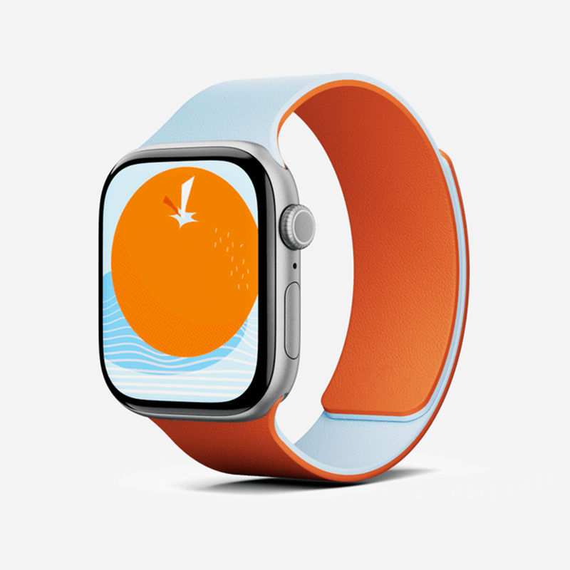 Moft Snap Duo Watch Bands