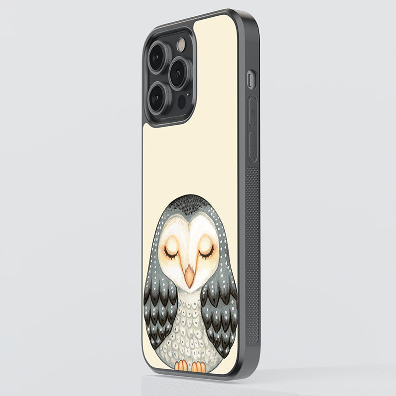 Sleeping Owl Glass Case