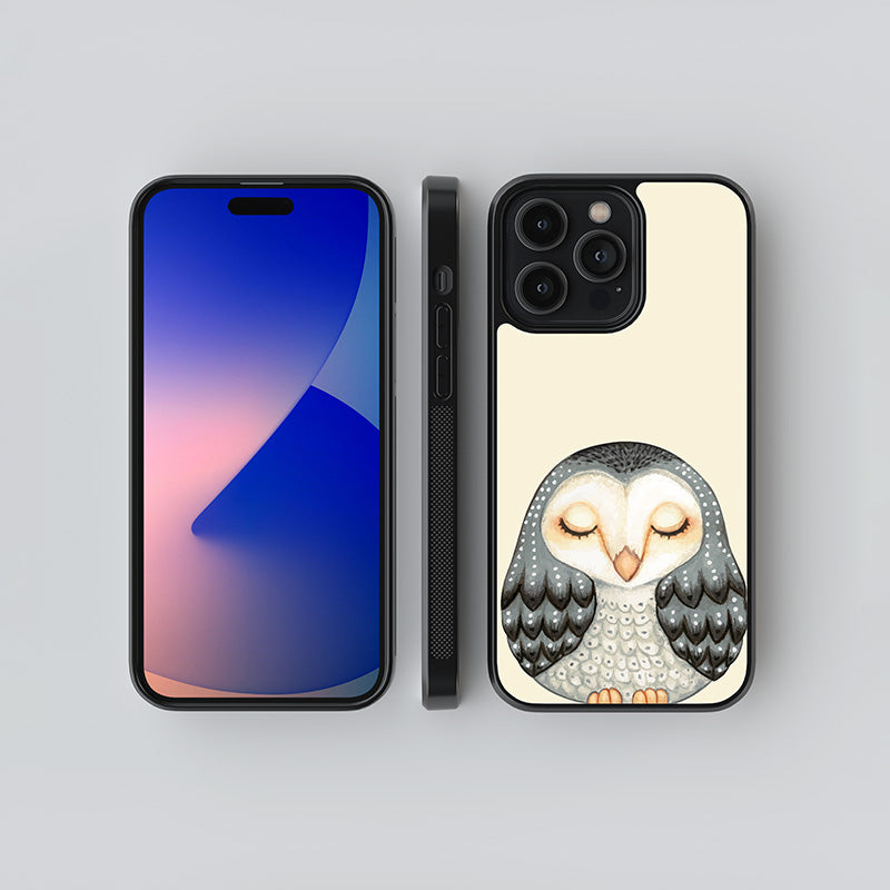 Sleeping Owl Glass Case