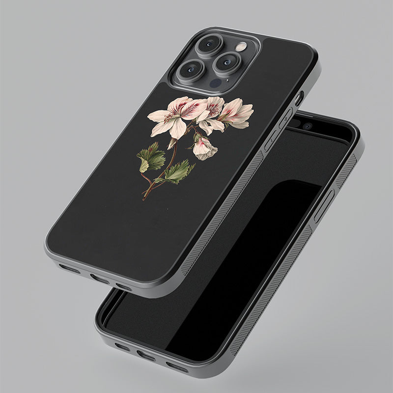 Pelargonium album bicolor Glass Case