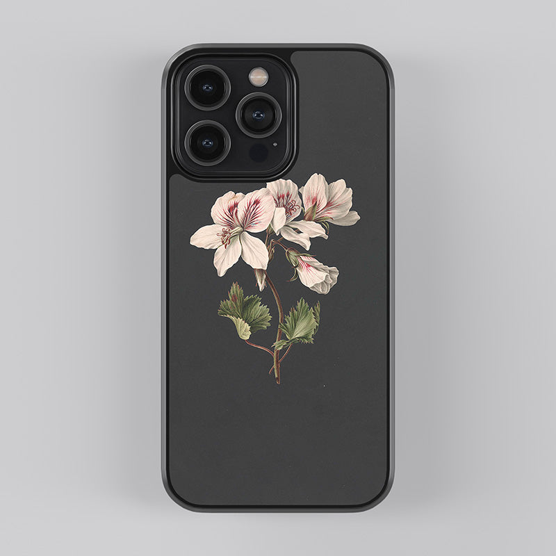 Pelargonium album bicolor Glass Case