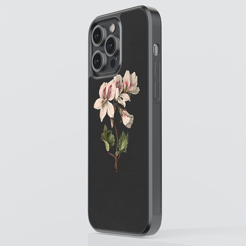 Pelargonium album bicolor Glass Case