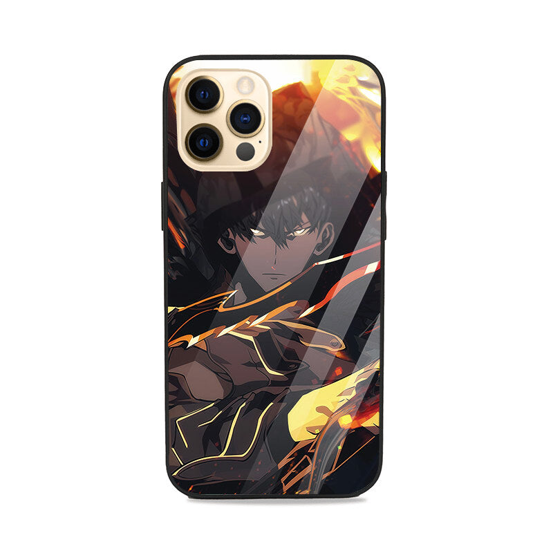 Sung Jin Woo Glass case Glass Case