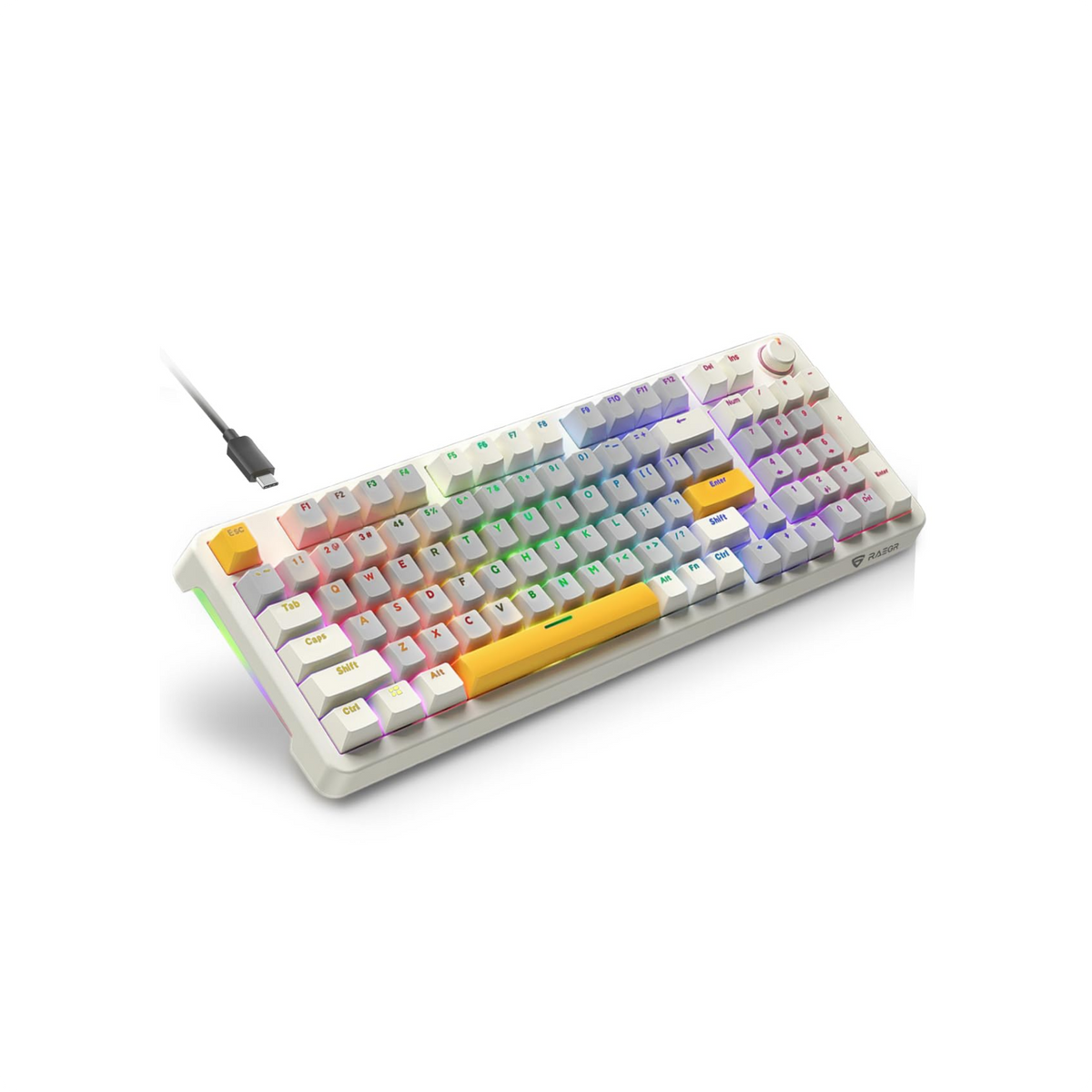 RAEGR MechGear X100 Mechanical Gaming Keyboard, 98 Keys Compact Full Size, Rainbow Backlit, Hot-Swappable Switches, Multi-Function Volume Knob with Detachable Cable Retro White/Grey