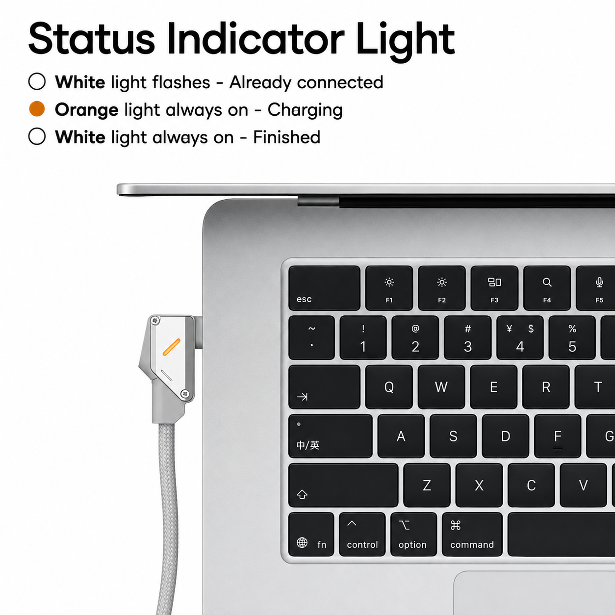 #style_Steady Aluminum