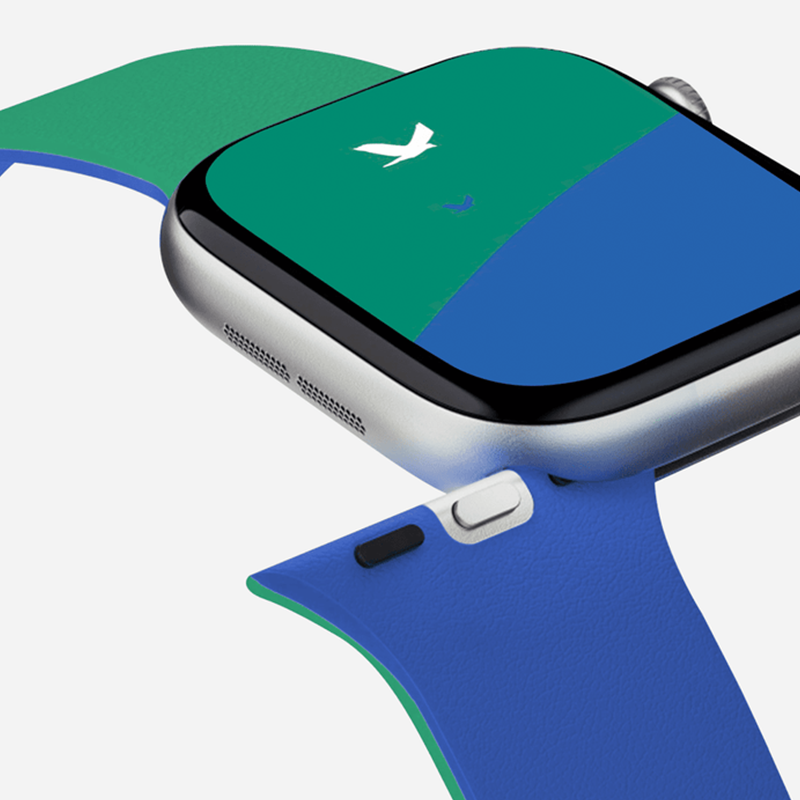 Moft Snap Duo Watch Bands