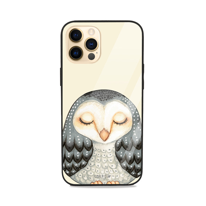  Sleeping Owl Glass Case